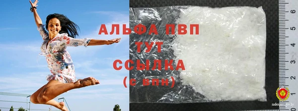 ECSTASY Богданович
